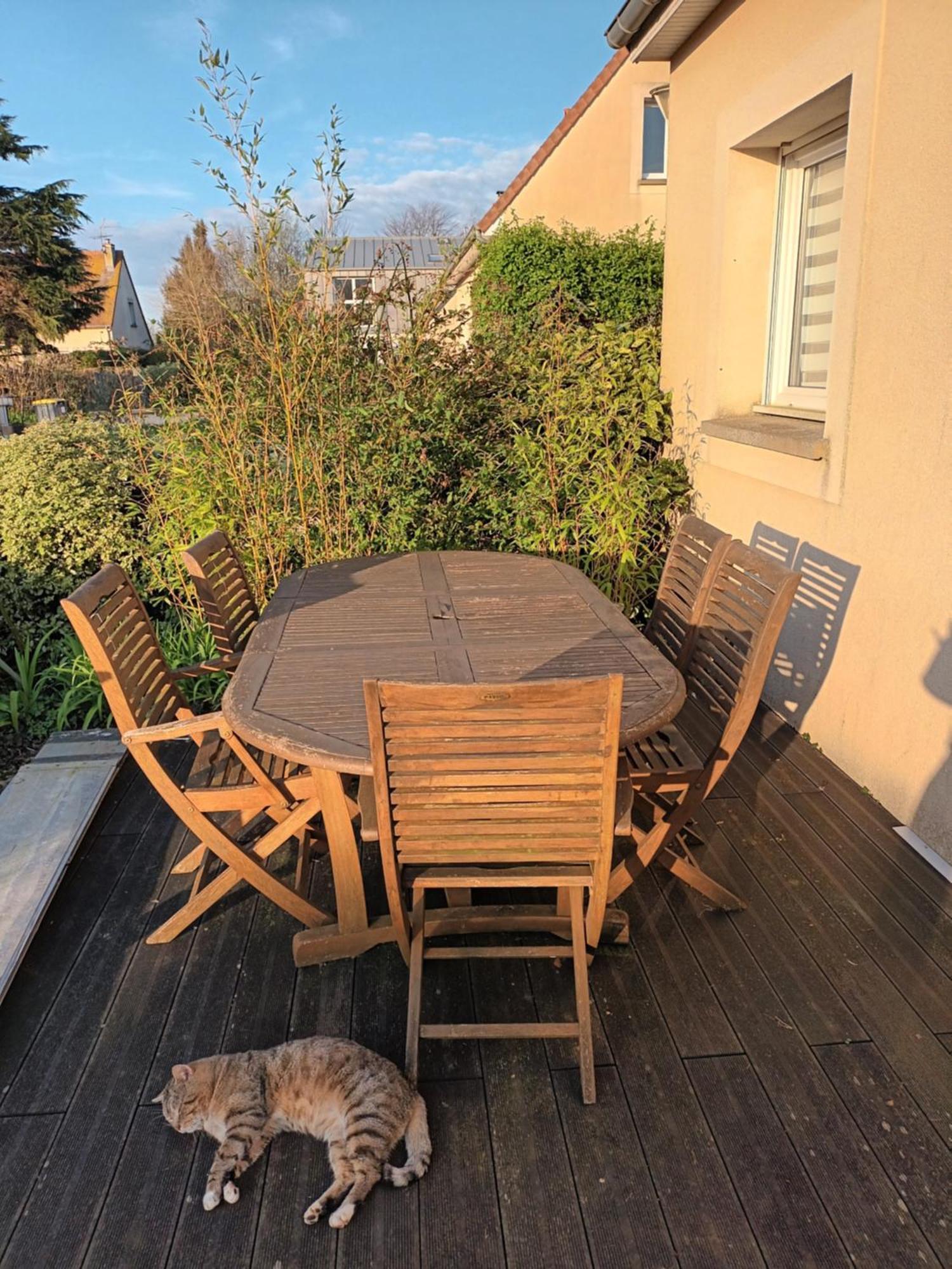 Appartement Tout Confort Le Fresne-Camilly Buitenkant foto